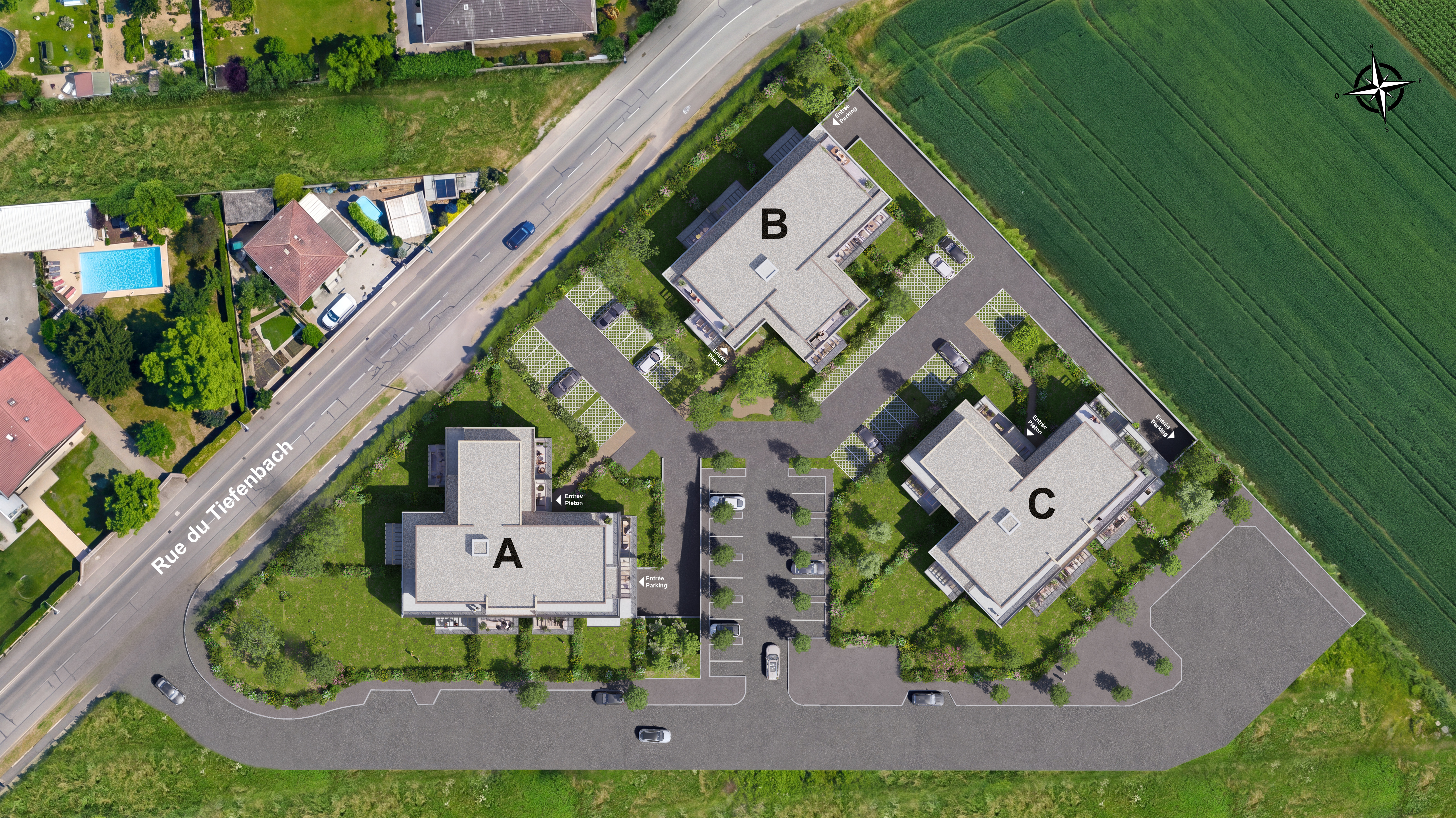 PROCIVIS - Pierre&Territoire - Logements - Colmar - Plan masse - 04.jpg